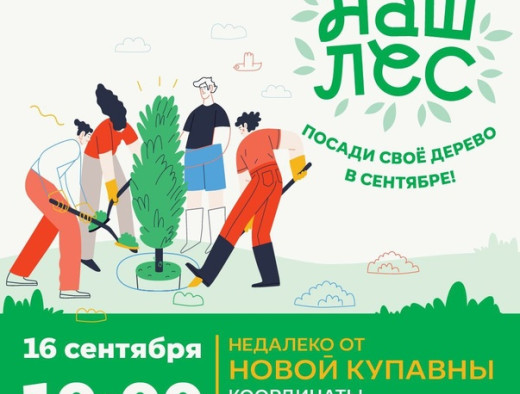 Акция «Наш лес. Посади свое дерево» 2018