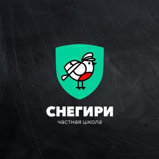 Мультимедийное оборудование в школе Снегири в Раменках
