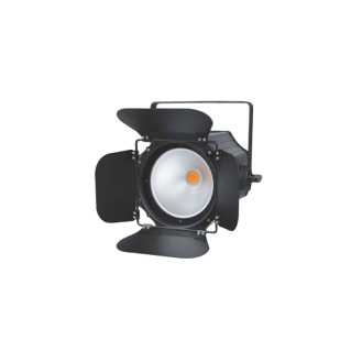 Светодиодный театральный прожектор Proton Lighting PL PAR 200W COB WA