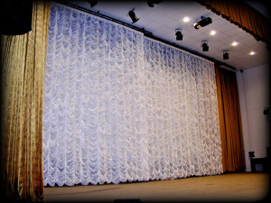 Французский задник