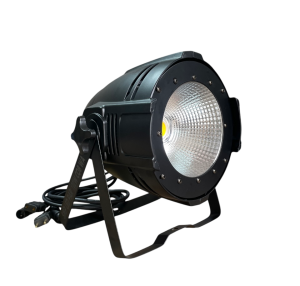 Светодиодный прожектор SMP LED PAR 100W COB WA