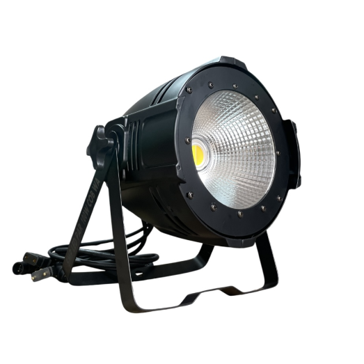 Светодиодный прожектор SMP LED PAR 100W COB WA