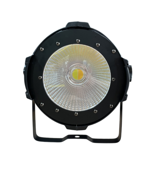Светодиодный прожектор SMP LED PAR 100W COB WA
