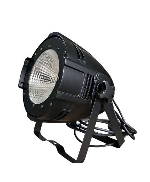 Светодиодный прожектор SMP LED PAR 100W COB WA