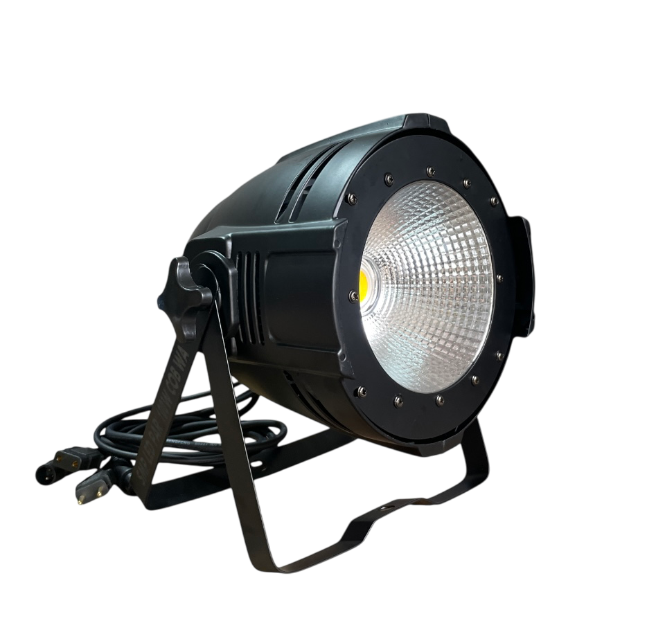Светодиодный прожектор SMP LED PAR 100W COB WA