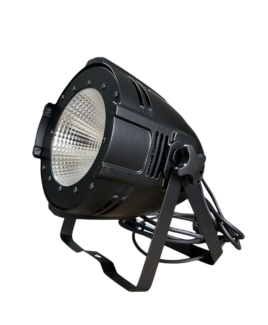 Светодиодный прожектор SMP LED PAR 100W COB WA
